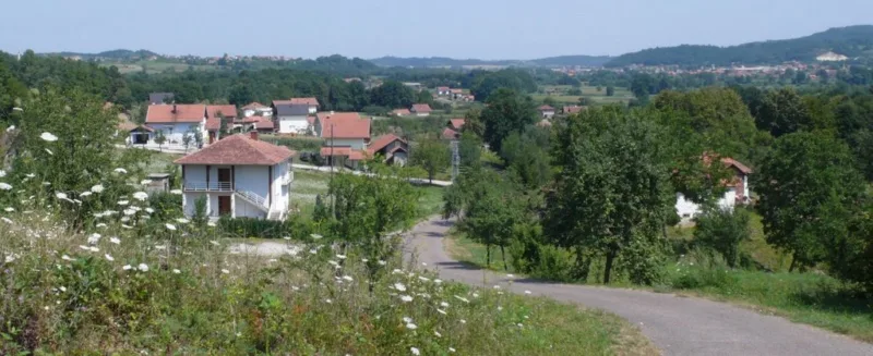 Srednja spionica