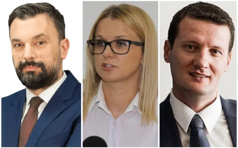 Konakovic piric sepic