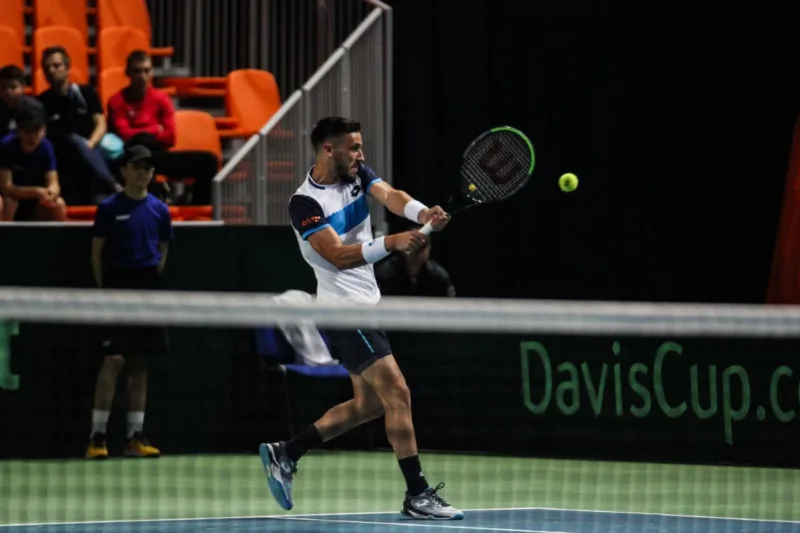 Damir dzumhur davis cup