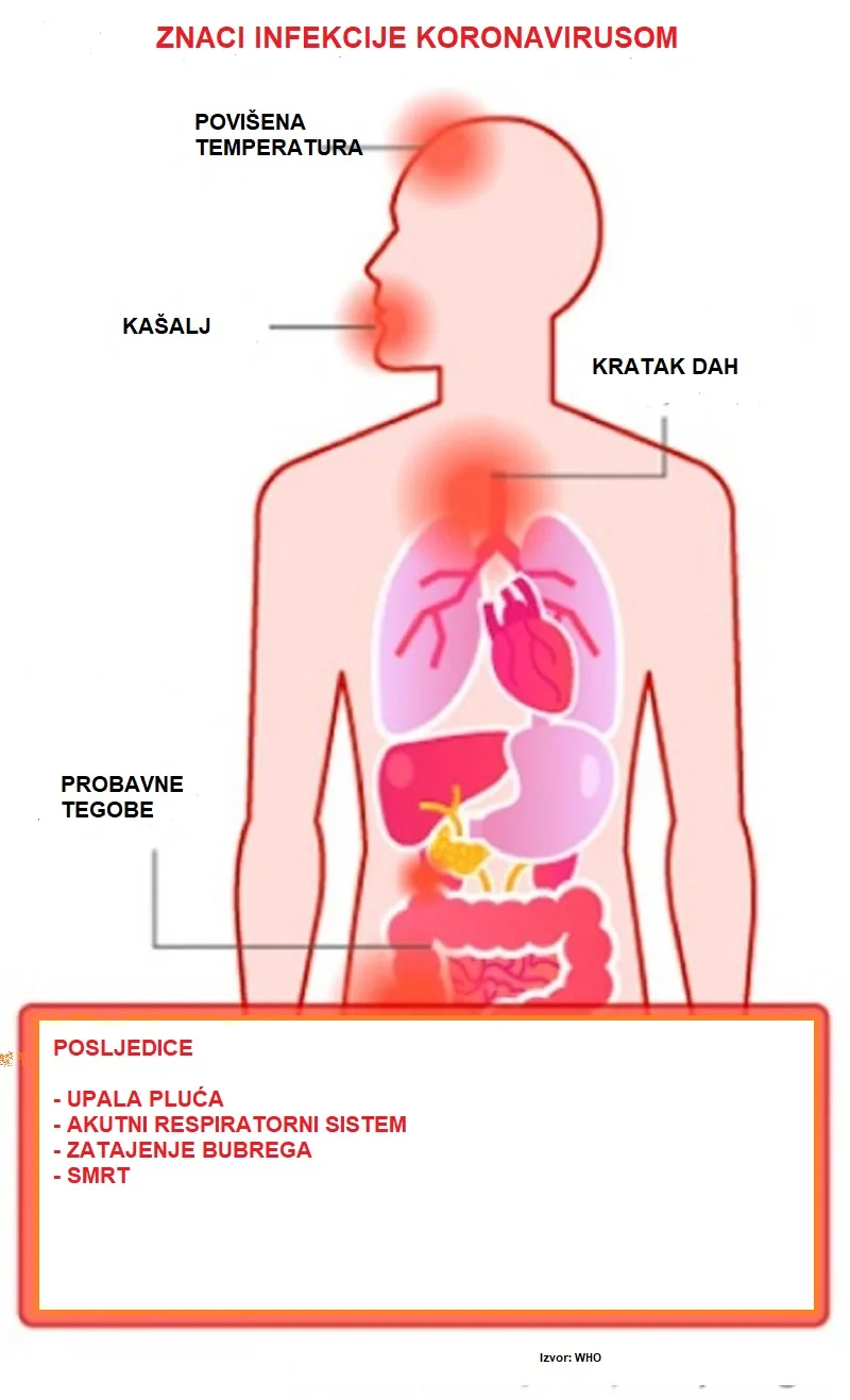 korona grafika