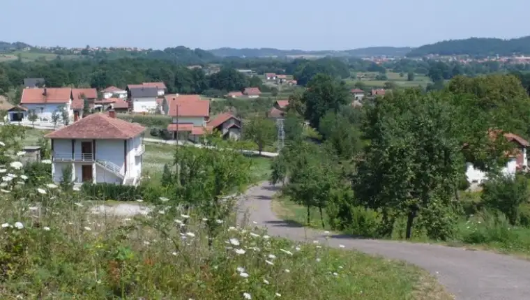 Srednja spionica