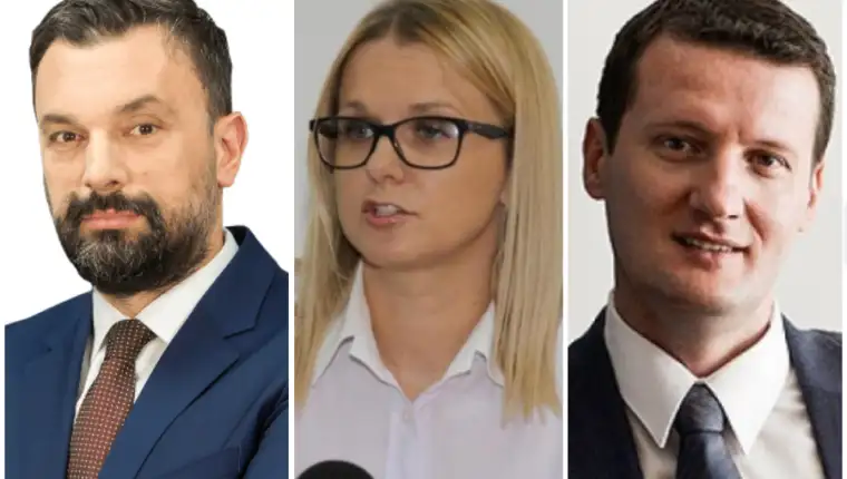 Konakovic piric sepic