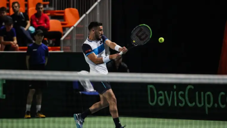 Damir dzumhur davis cup