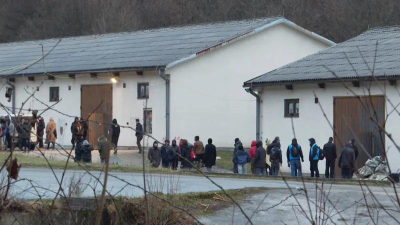 Migranti blazuj