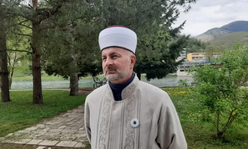remzija pitic