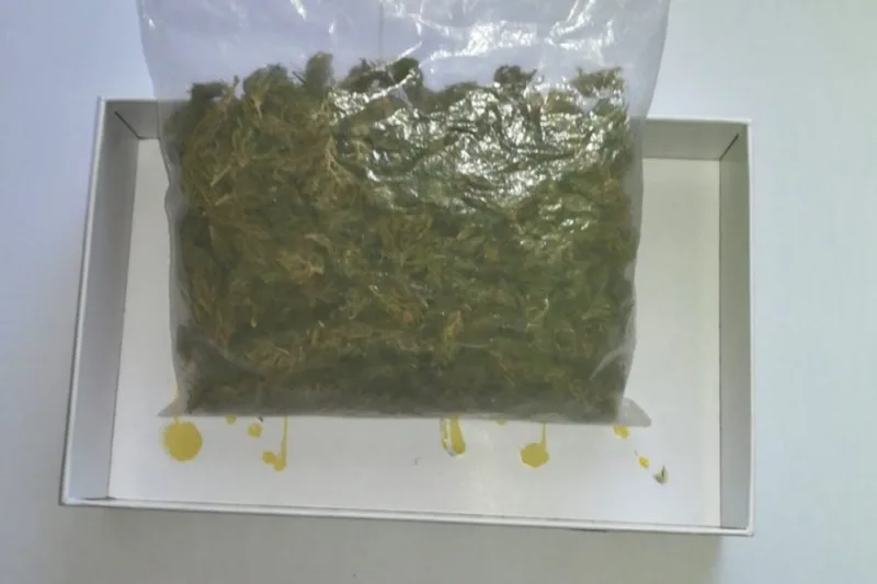 marihuana1