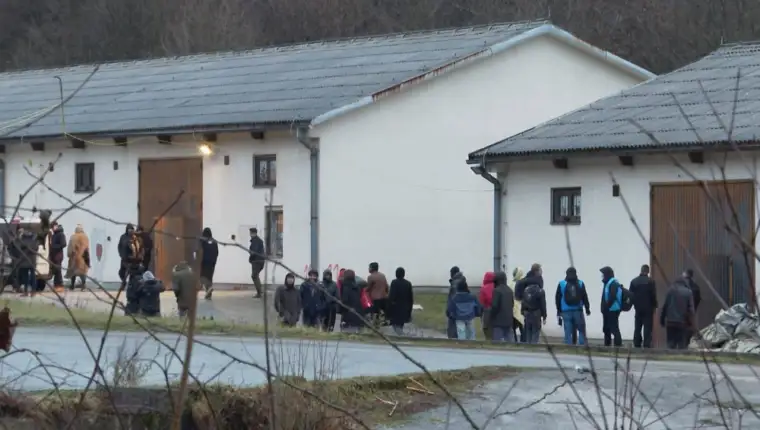 blazuj migranti
