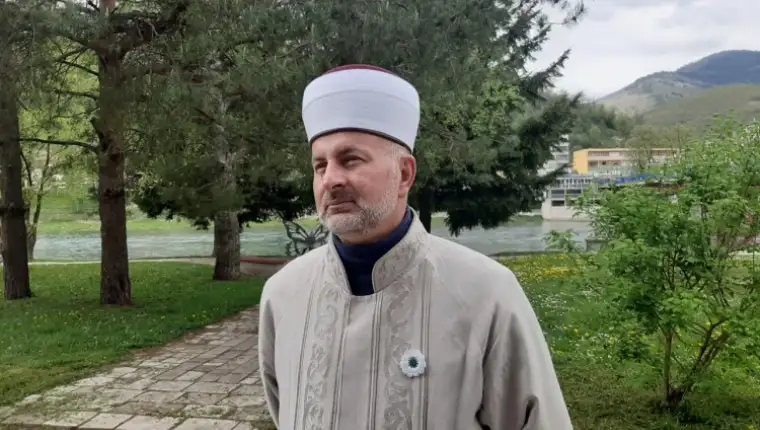 remzija pitic