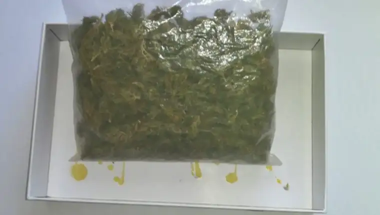 marihuana1