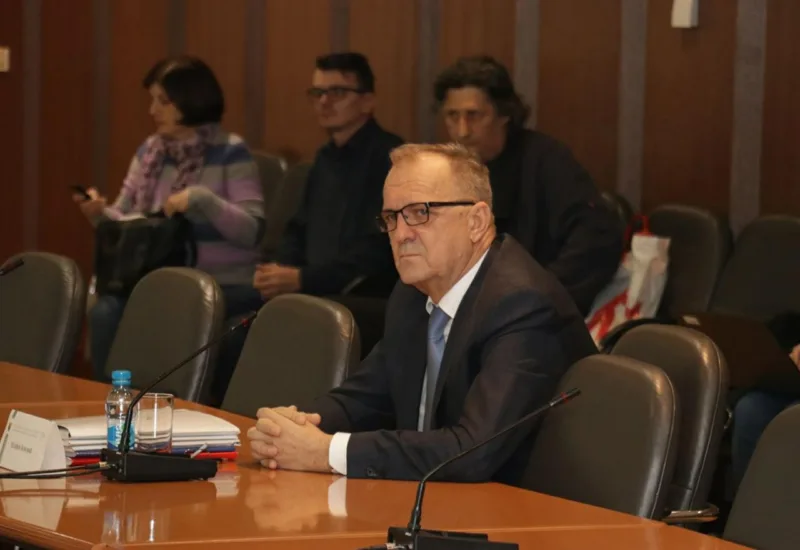 Maladjenn bozovic