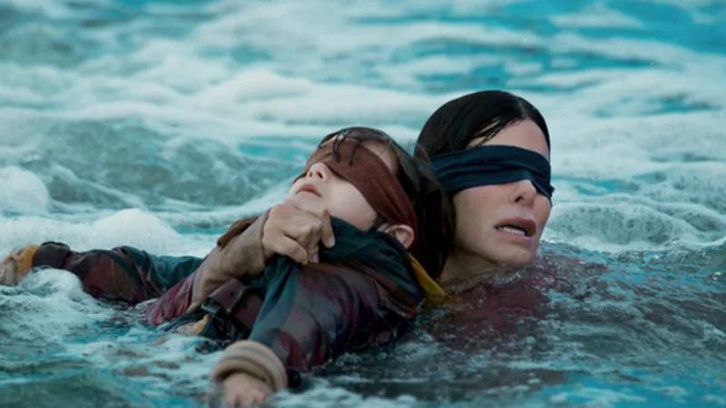 Birdbox