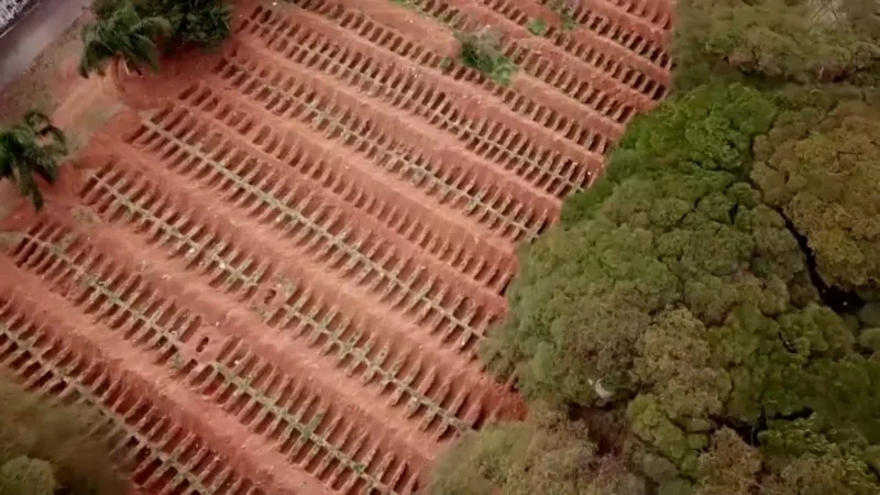 Brazil groblje