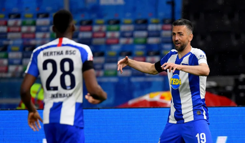 Ibisevic11