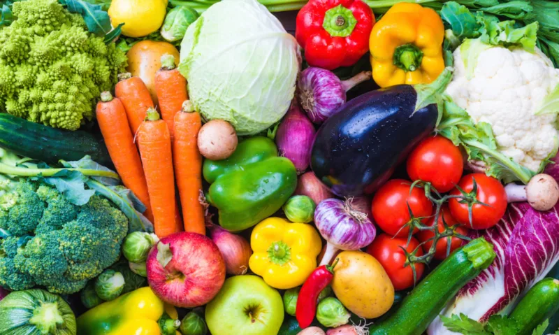 Vegetarijanska prehrana