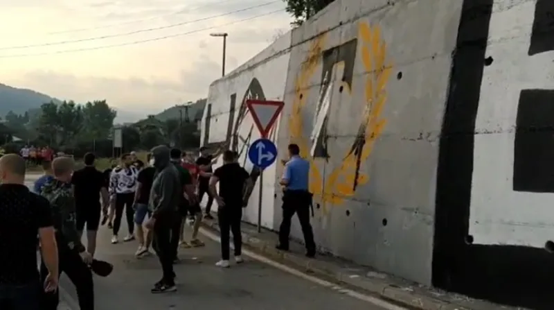 Delije