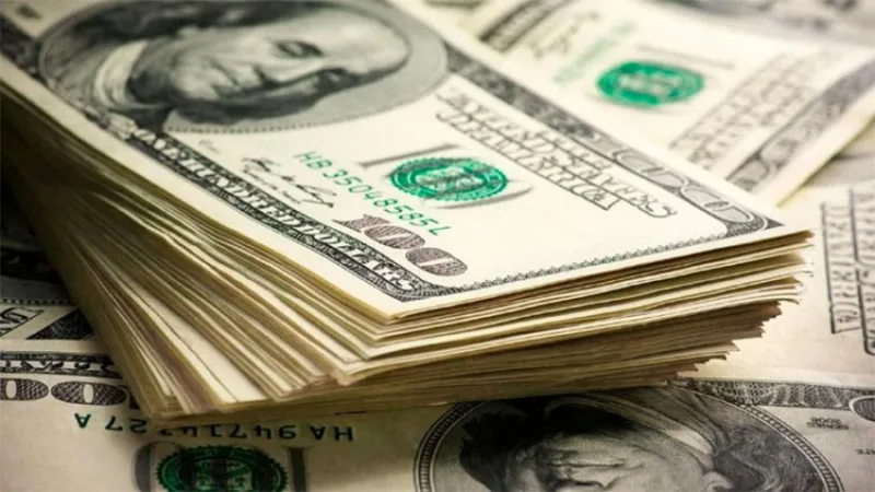Dolar11