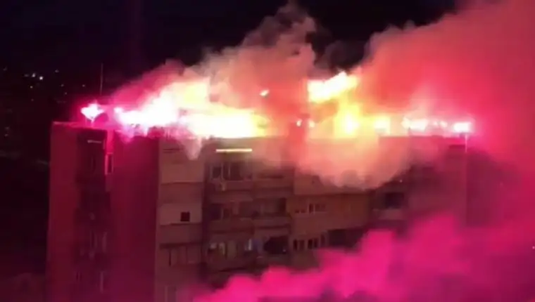 Bakljade srbija