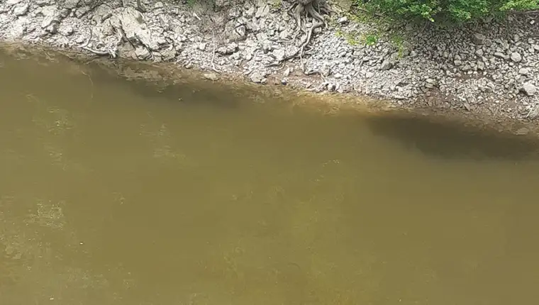 vrbas