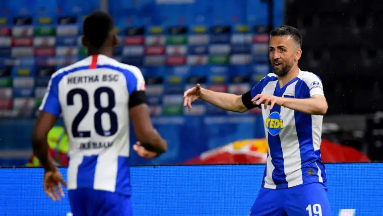Ibisevic11