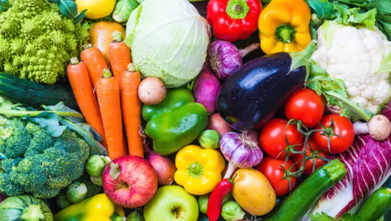Vegetarijanska prehrana