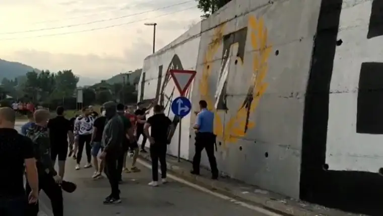 Delije