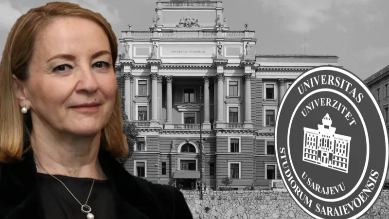 Univerzitet Sebija