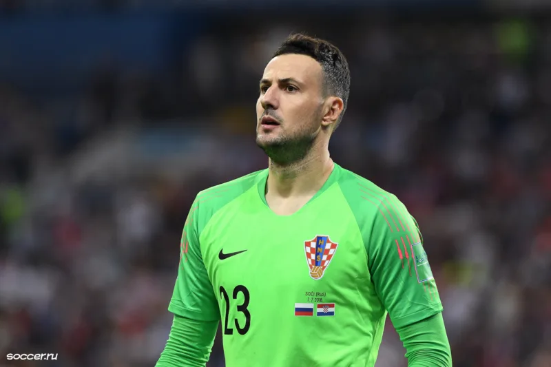 Subasic danijel