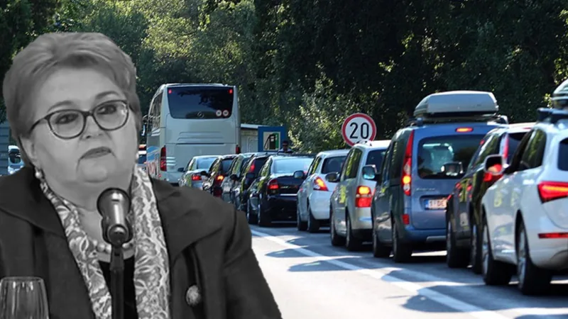 Bisera guzve