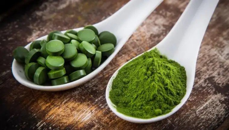 alga