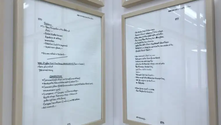 Mladic dnevnik