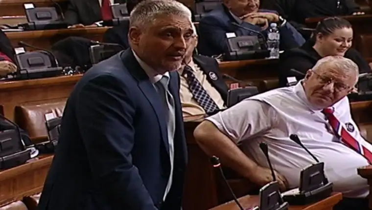 Ceda seselj