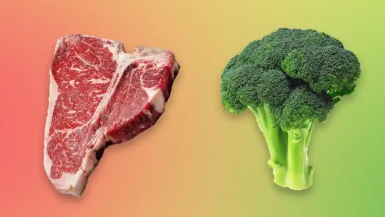 Proteini