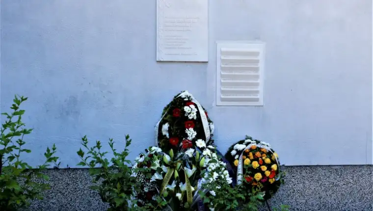 Bakarevica
