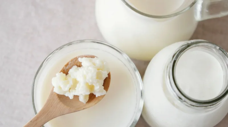 Kefir1