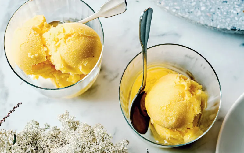 Sorbet