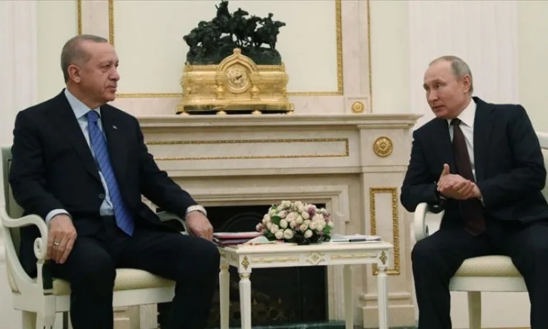 Erdogan putin