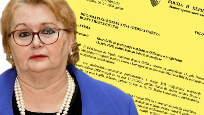 Bisera instrukcija f
