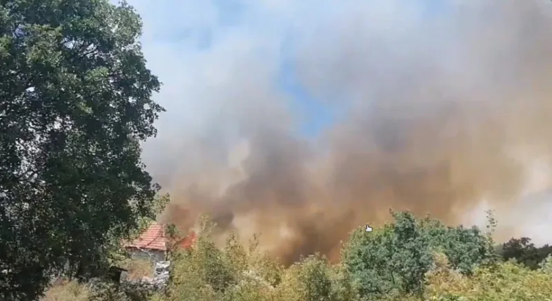 Pozar trebinje