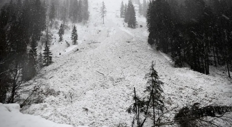 Tirol lavina
