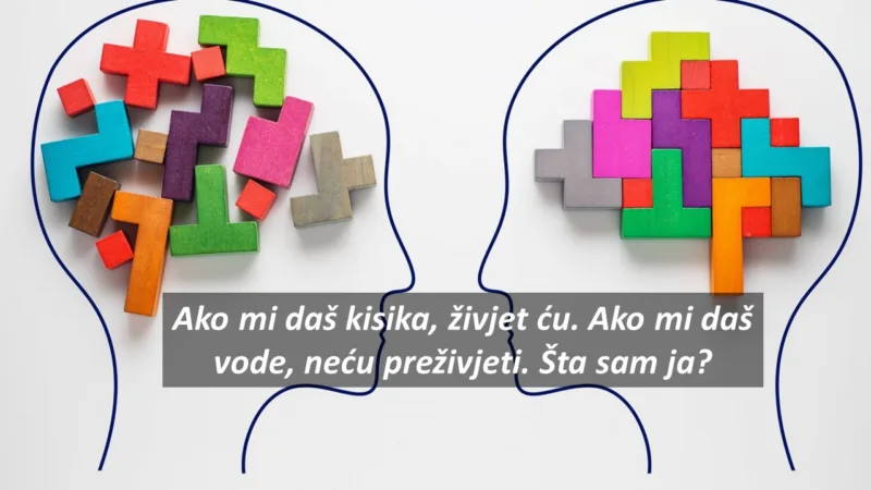Mindset