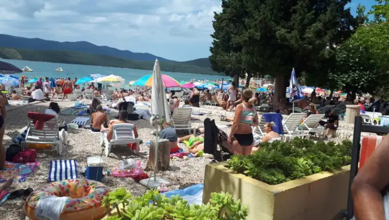Neum1