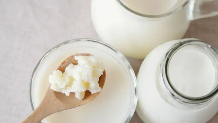 Kefir1
