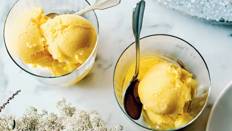 Sorbet