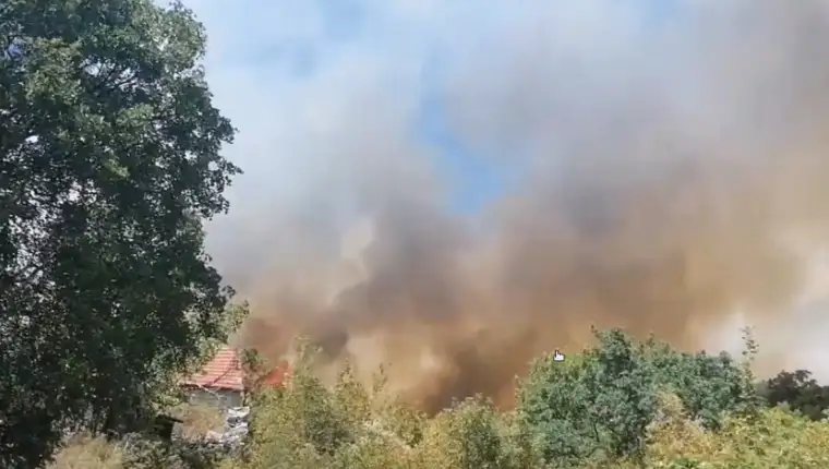 Pozar trebinje