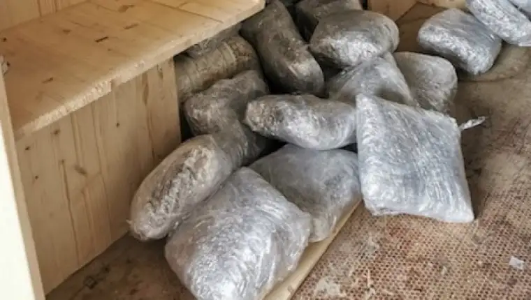 Droga gpbih