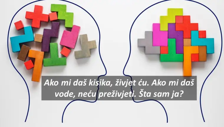 Mindset