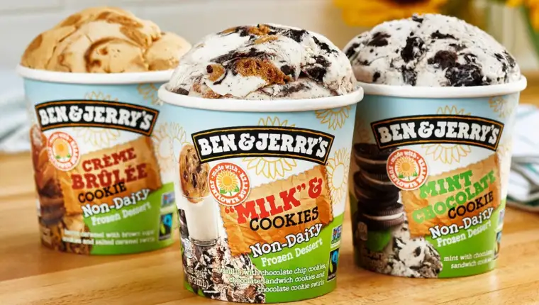 Benjerryscdvegan lead11