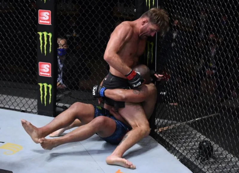 Miocic stipe