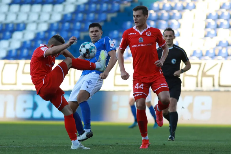 Zeljo mladost