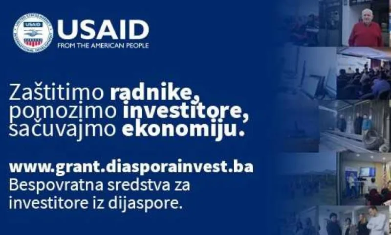 Usaid diaspora